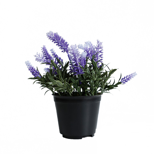 KB-025P-Artificial grass bonsai with pot-H20cm