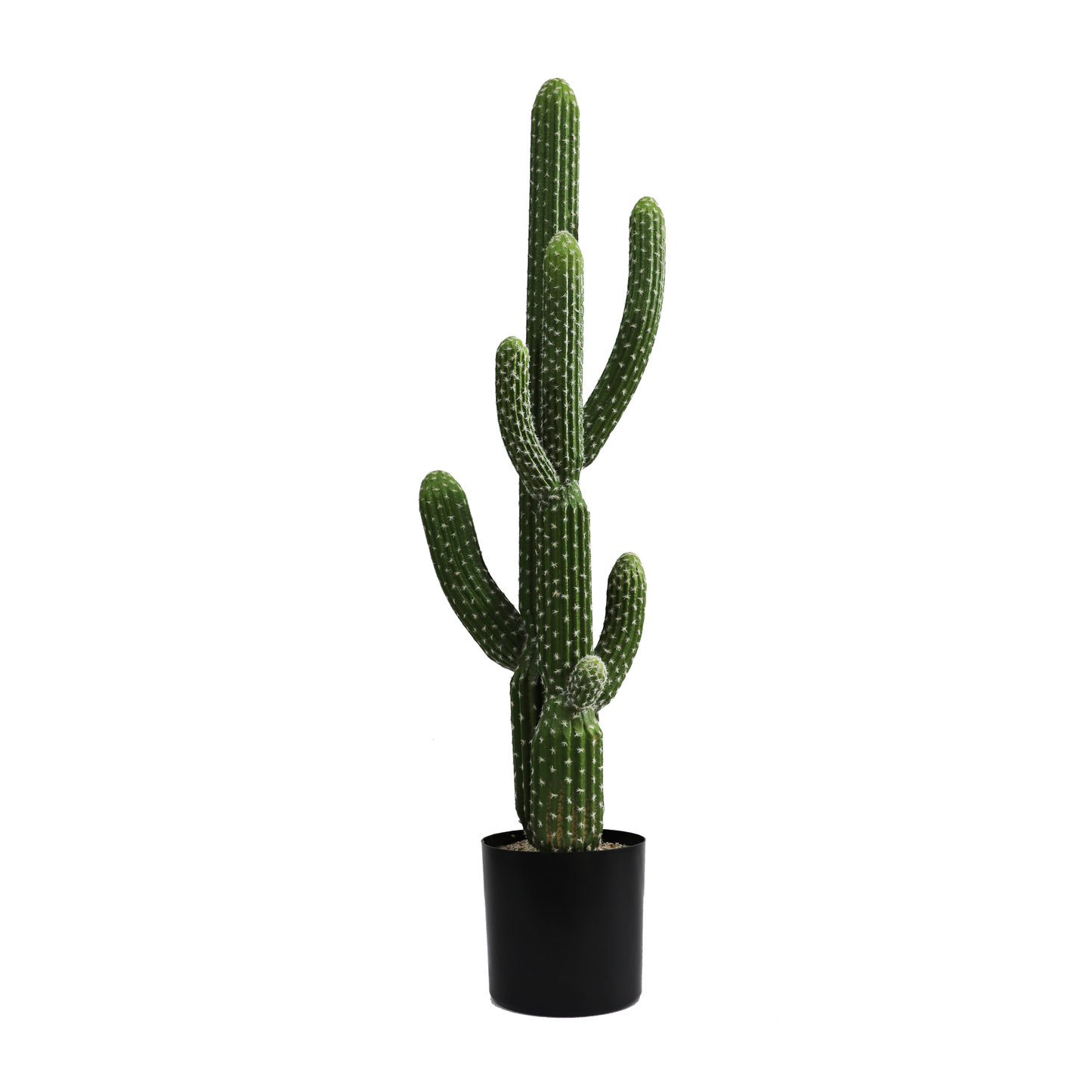 KD0013-Cactus with plastic pot -H115cm