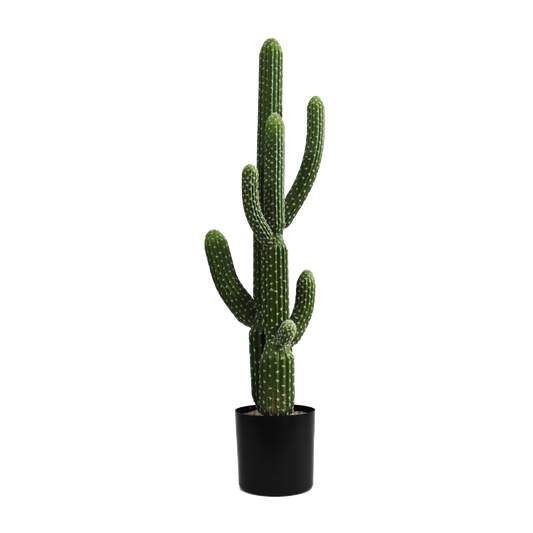 KD0013-Cactus with plastic pot -H115cm