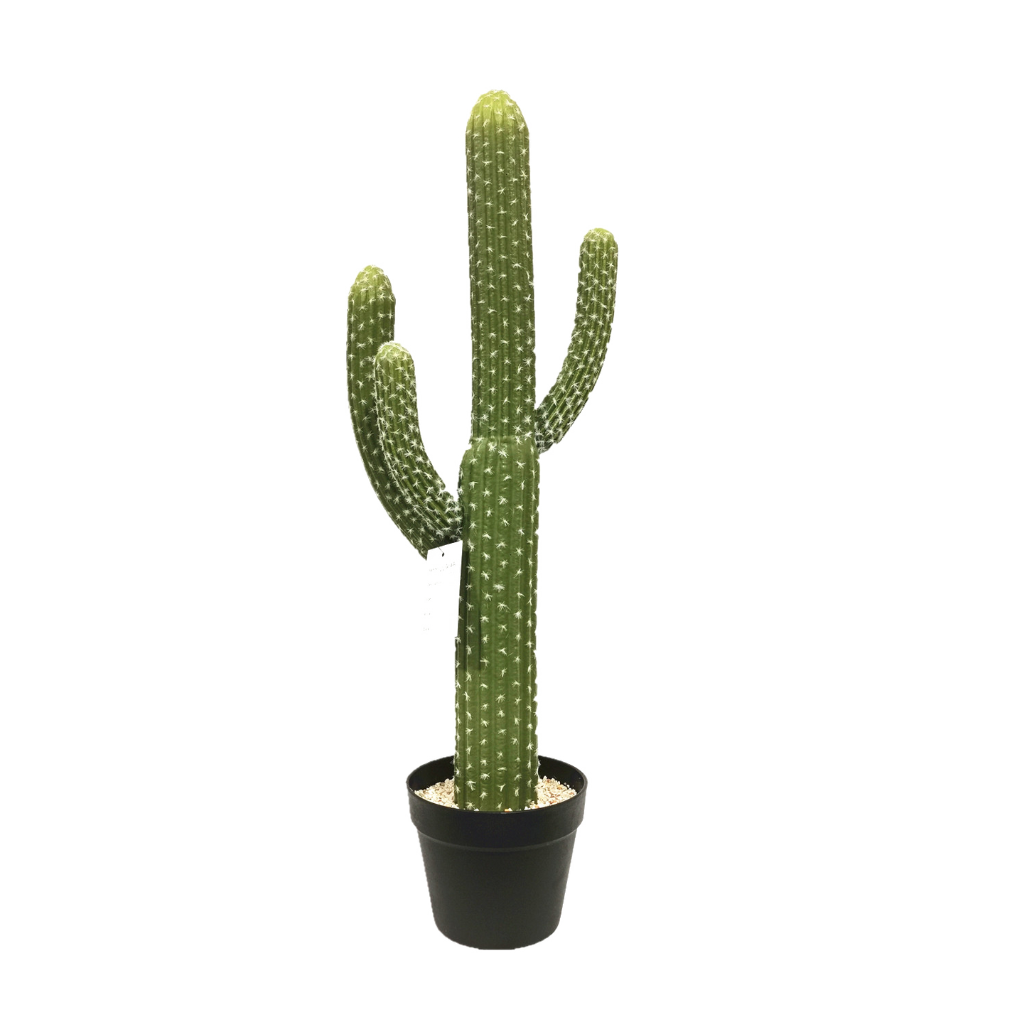 KD0014-Cactus with plastic pot -H82cm