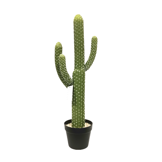KD0014-Cactus with plastic pot -H82cm