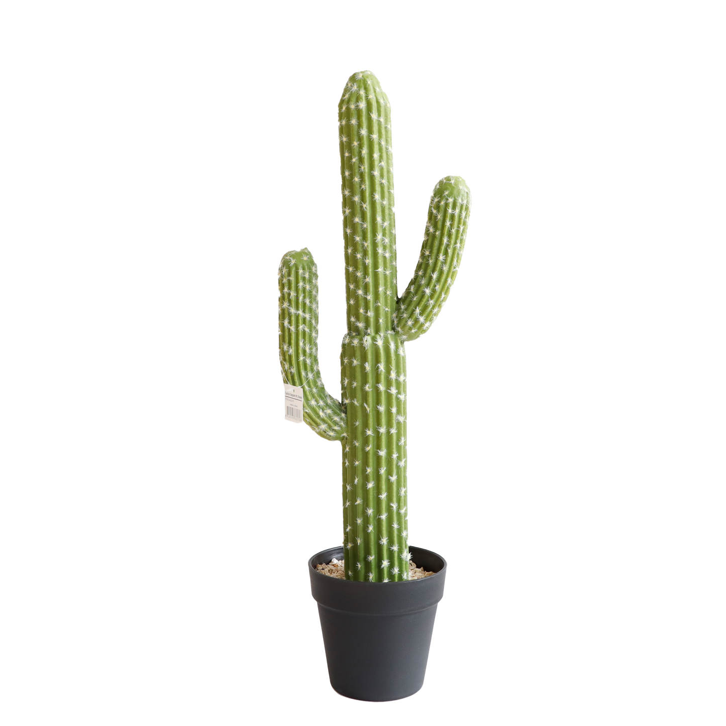 KD0015-Cactus with plastic pot -H62cm