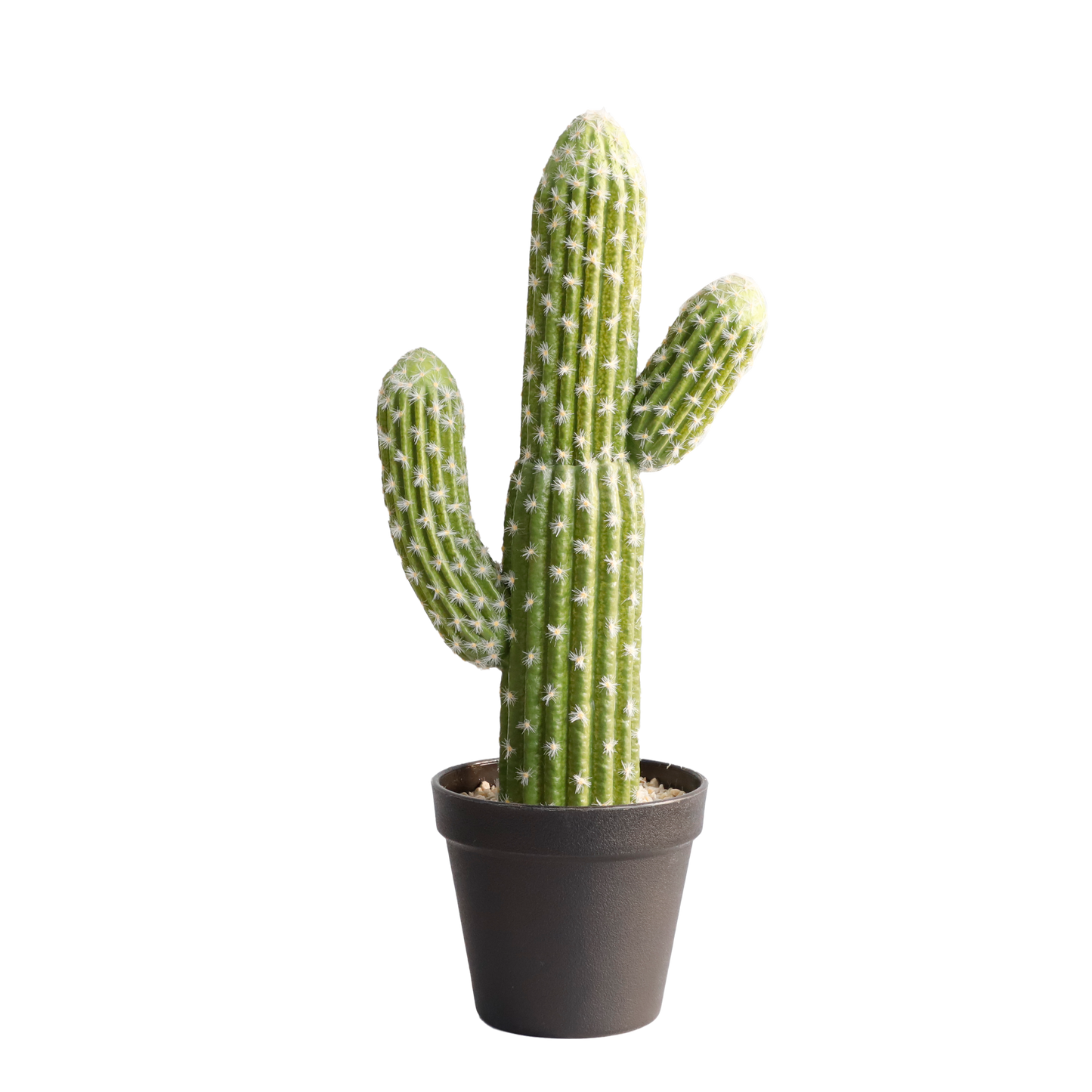 KD0016-Cactus with plastic pot -H41cm