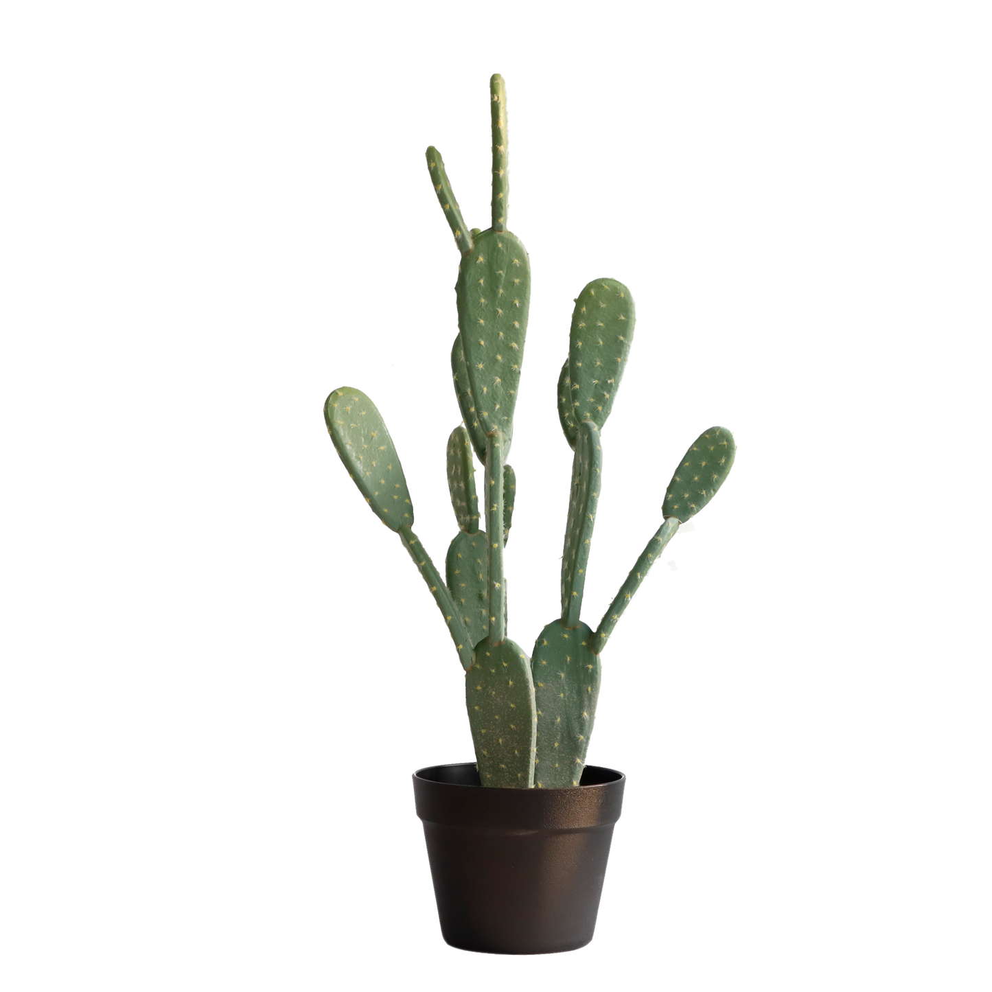 KD0017-Cactus with plastic pot -H72cm