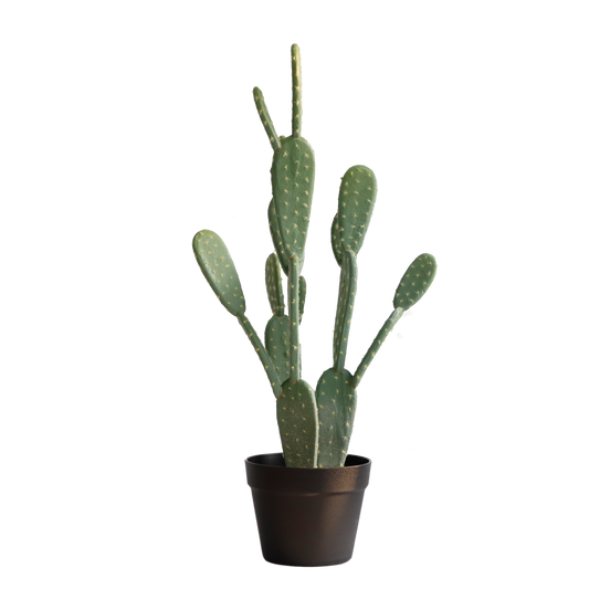 KD0017-Cactus with plastic pot -H72cm