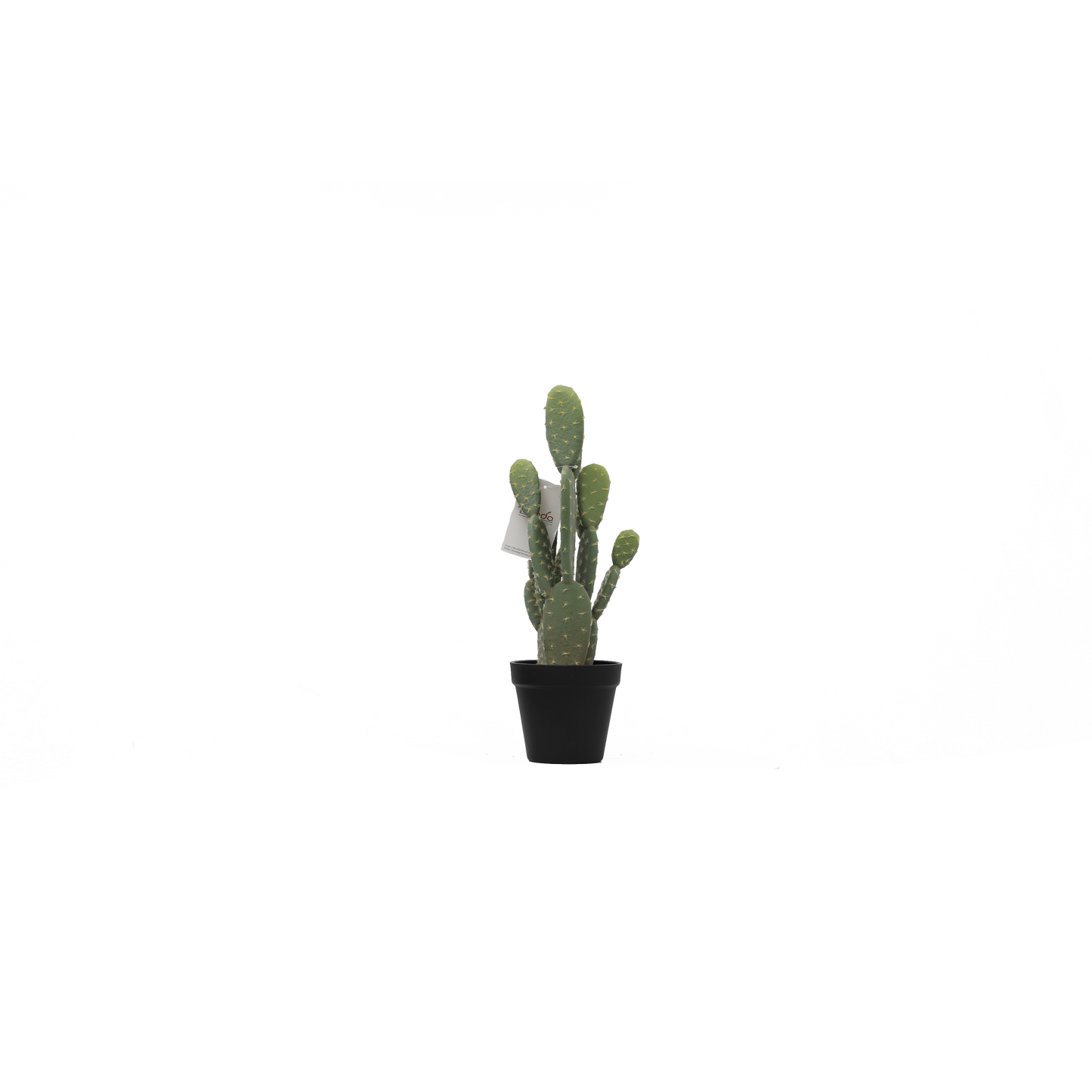 KD0019-Cactus with plastic pot -H41cm