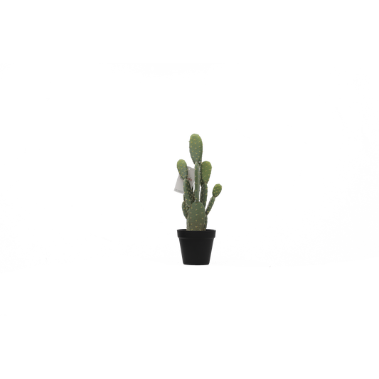 KD0019-Cactus with plastic pot -H41cm