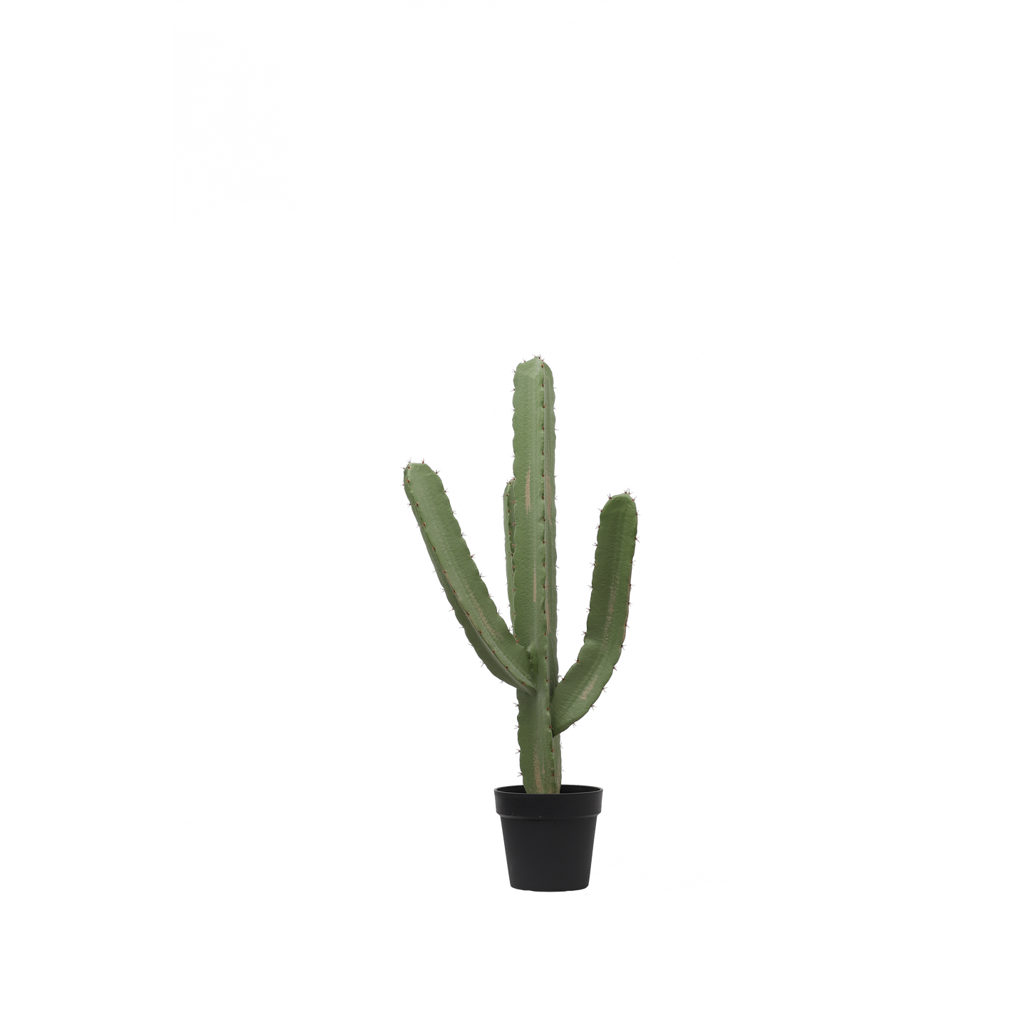 KD0020-Cactus with plastic pot -H95cm