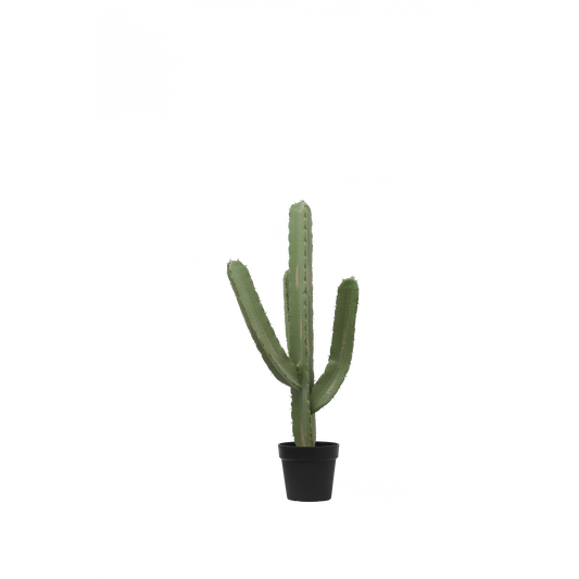 KD0020-Cactus with plastic pot -H95cm