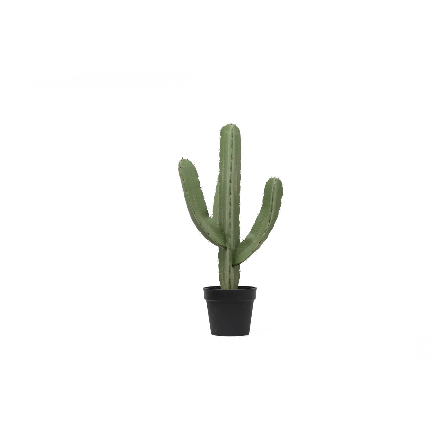 KD0021-Cactus with plastic pot -H78cm