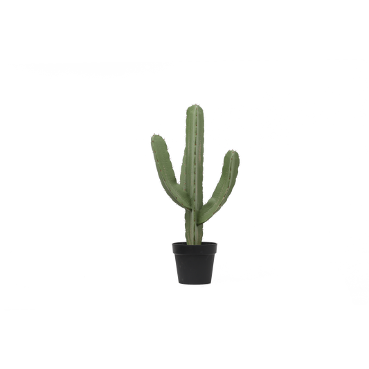 KD0021-Cactus with plastic pot -H78cm