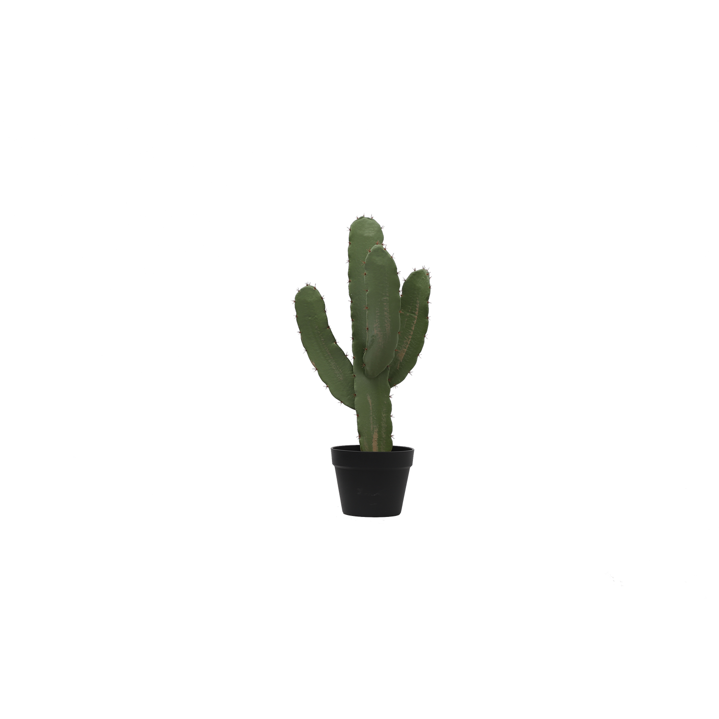 KD0022-Cactus with plastic pot -H63.5cm