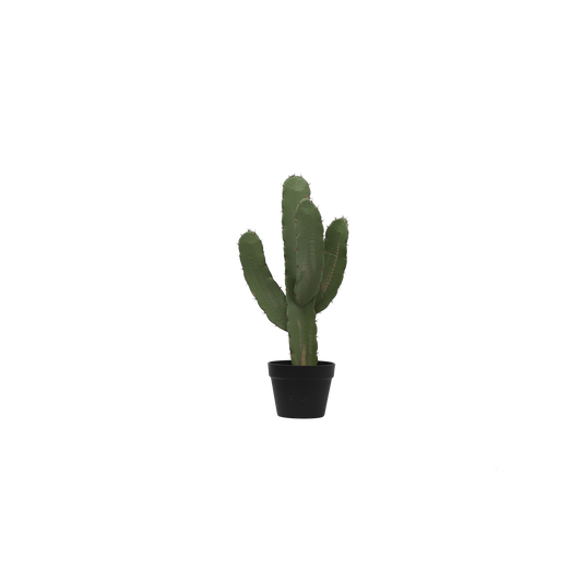 KD0022-Cactus with plastic pot -H63.5cm