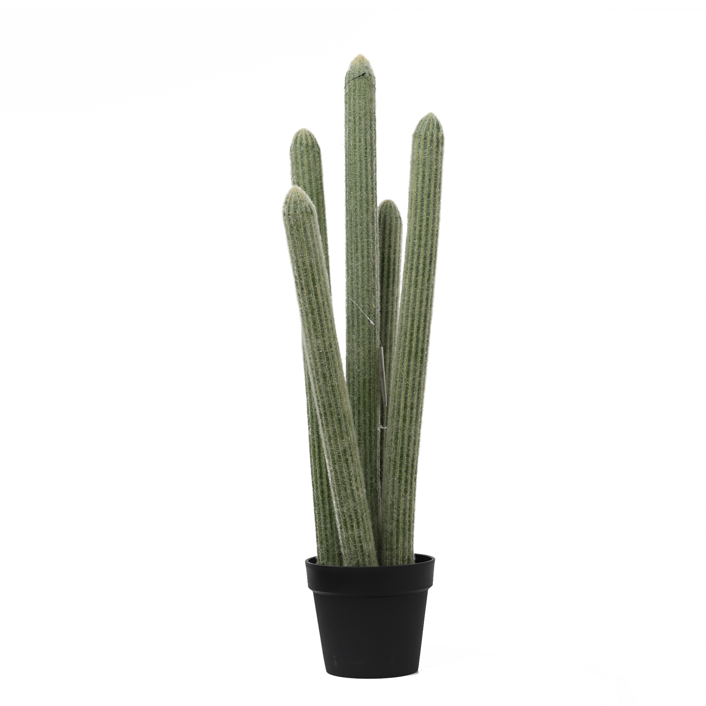 KD0023-succulent with plastic-H93cm