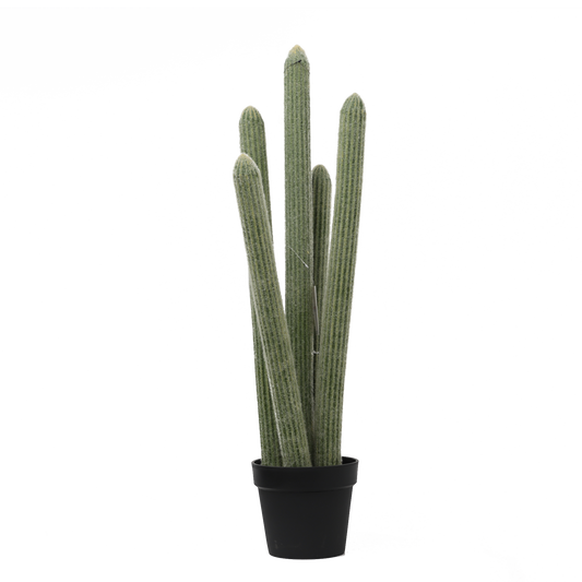 KD0023-succulent with plastic-H93cm