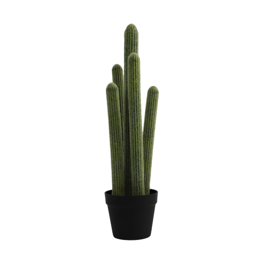 KD0024-succulent with plastic-H72cm