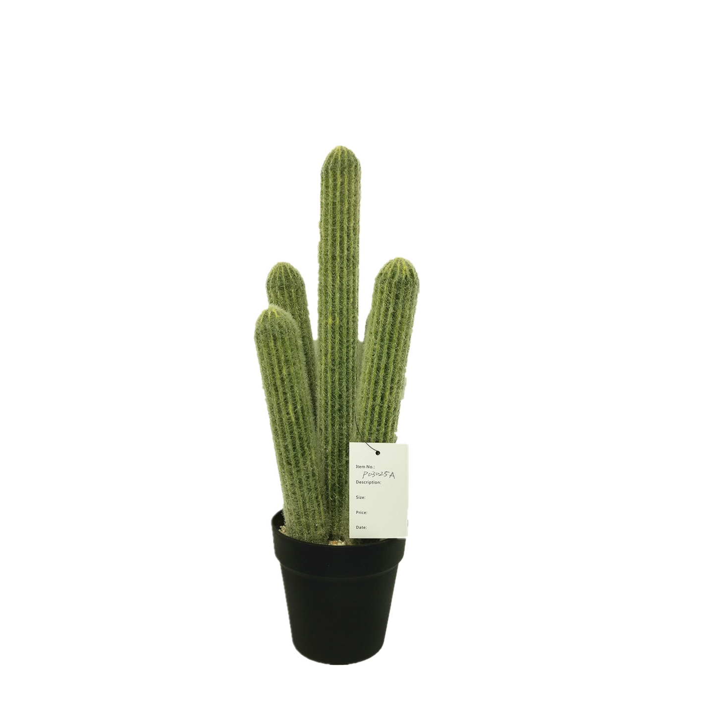 KD0025-succulent with plastic-H49.5cm