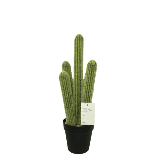 KD0025-succulent with plastic-H49.5cm