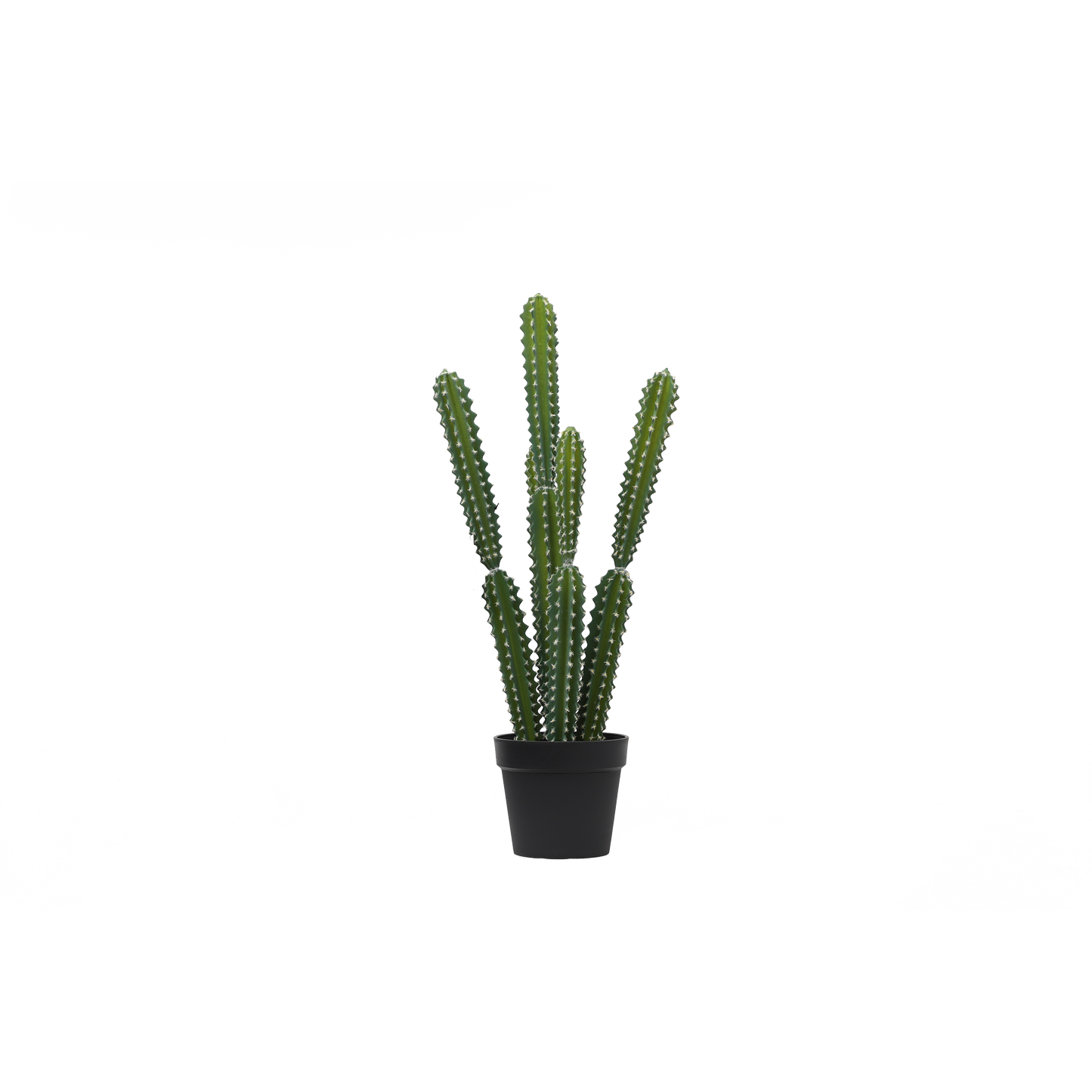 KD0026-succulent with plastic-H83cm