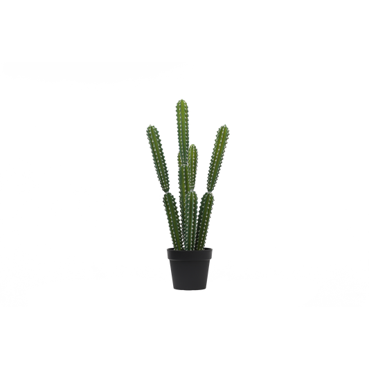 KD0026-succulent with plastic-H83cm