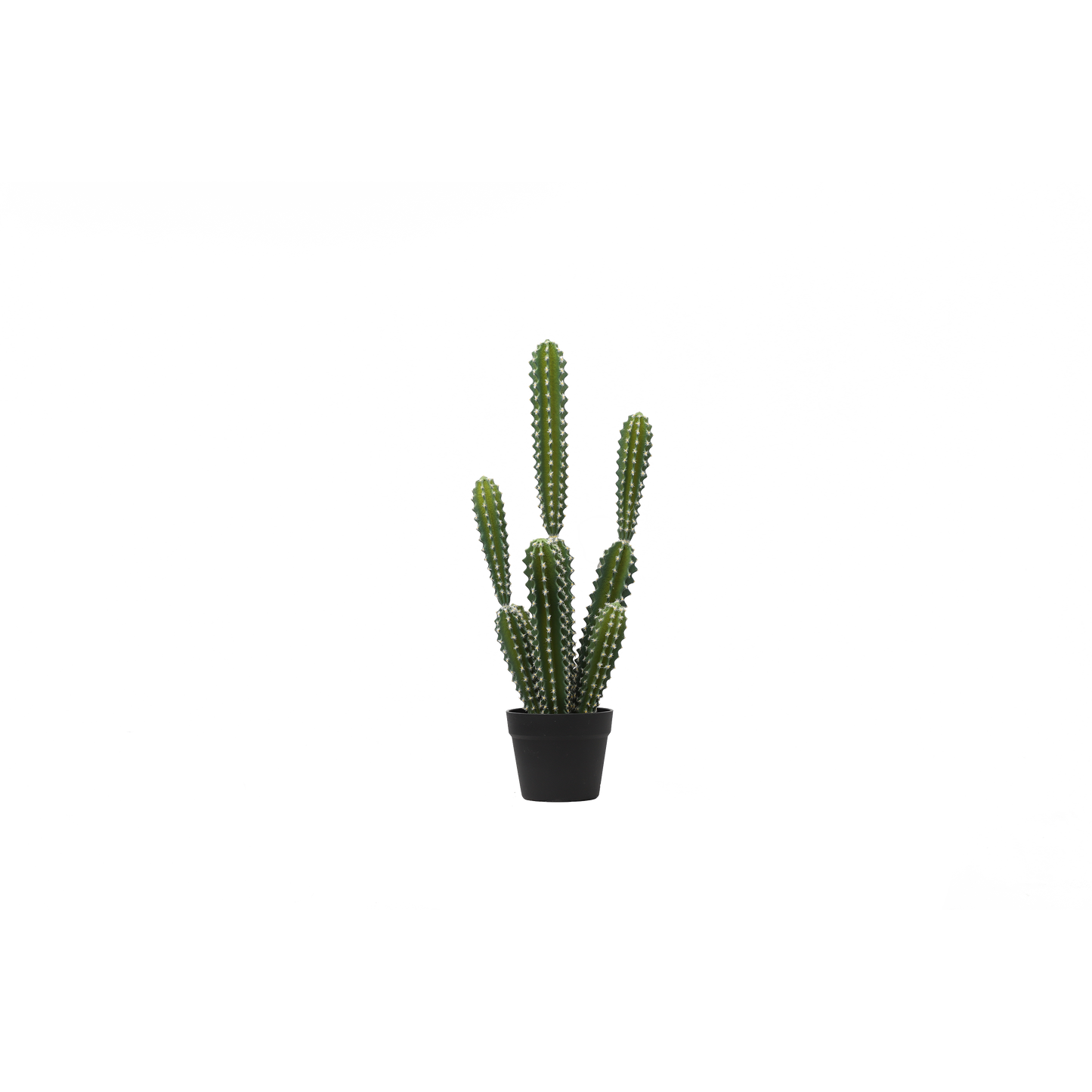 KD0027-succulent with plastic-H68cm