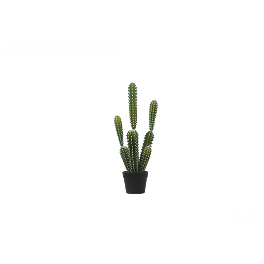 KD0027-succulent with plastic-H68cm