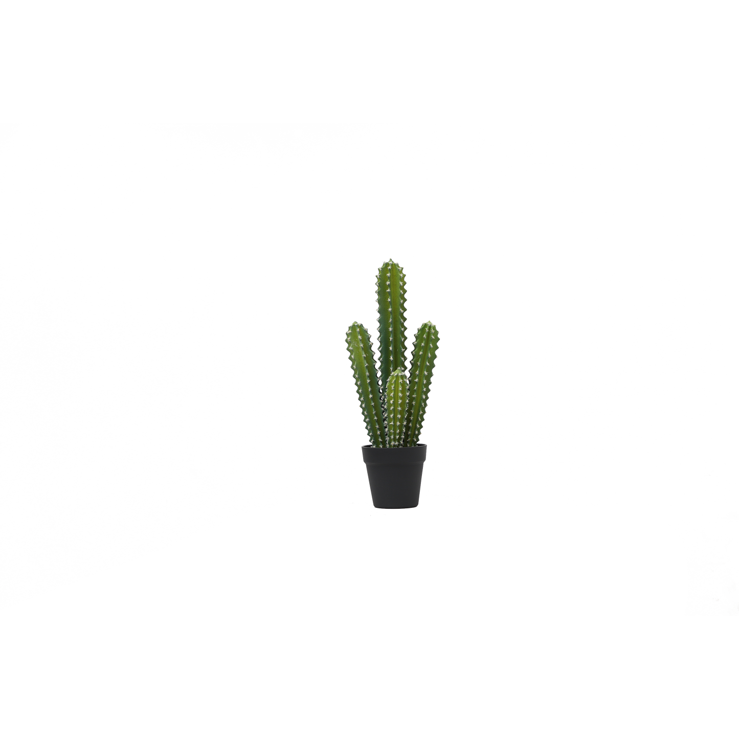 KD0028-succulent with plastic-H52.7cm