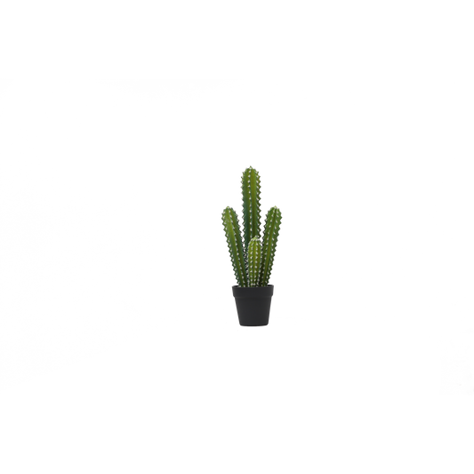 KD0028-succulent with plastic-H52.7cm