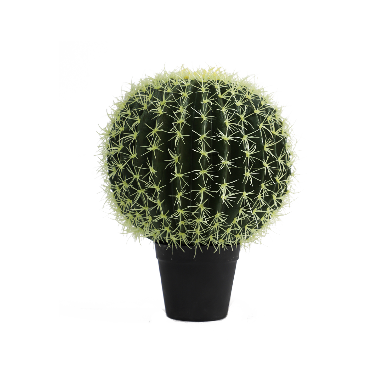KD0056-Cactus in plastic pot -H39cm