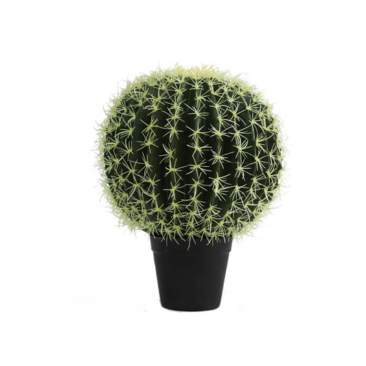 KD0056-Cactus in plastic pot -H39cm