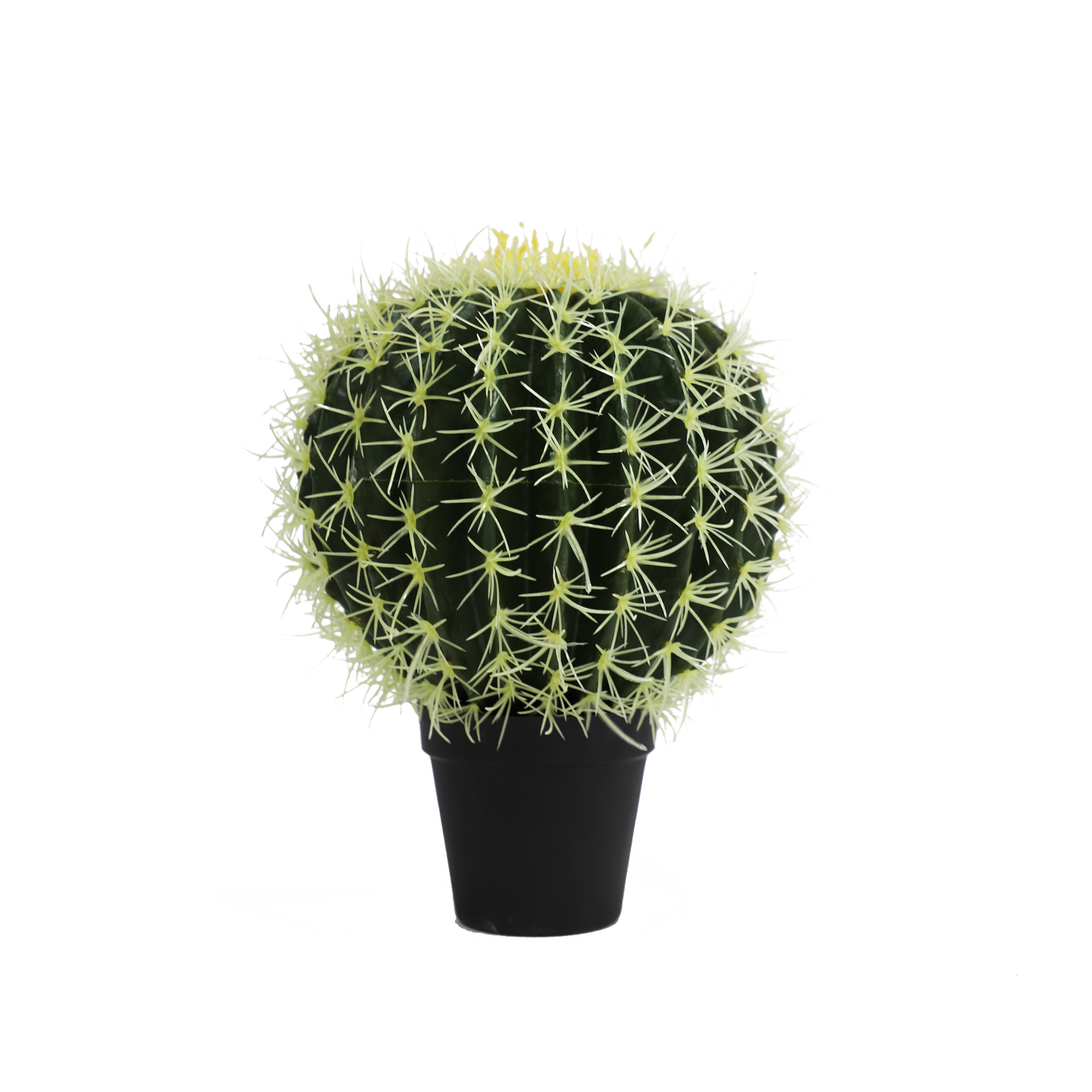 KD0057-Cactus in plastic pot -H29cm