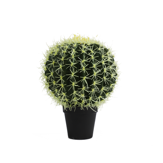 KD0057-Cactus in plastic pot -H29cm