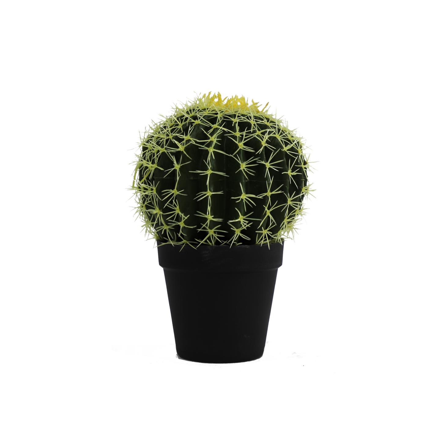 KD0058-Cactus in plastic pot -H18cm