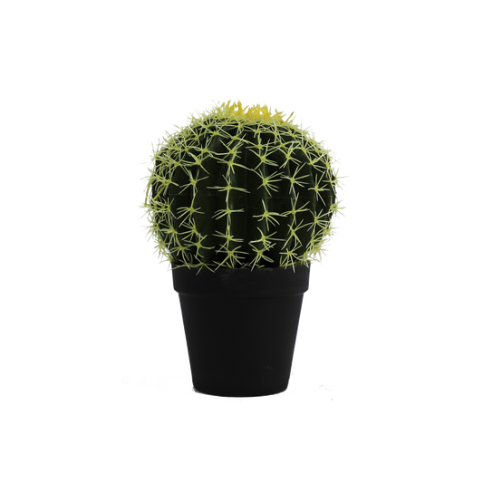KD0058-Cactus in plastic pot -H18cm