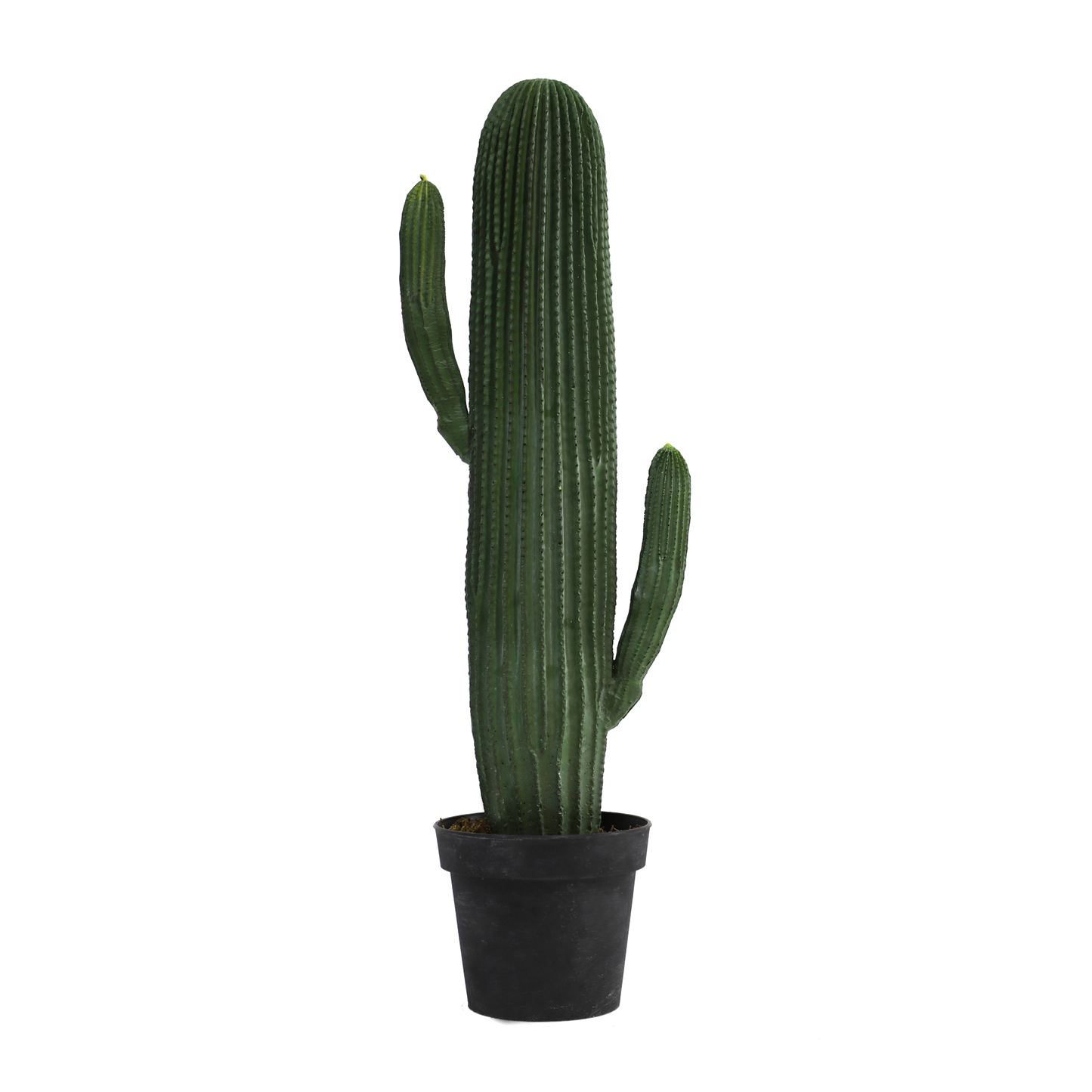 KD0059-Cactus with plastic pot -H85cm