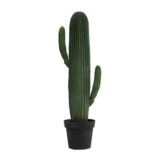 KD0059-Cactus with plastic pot -H85cm