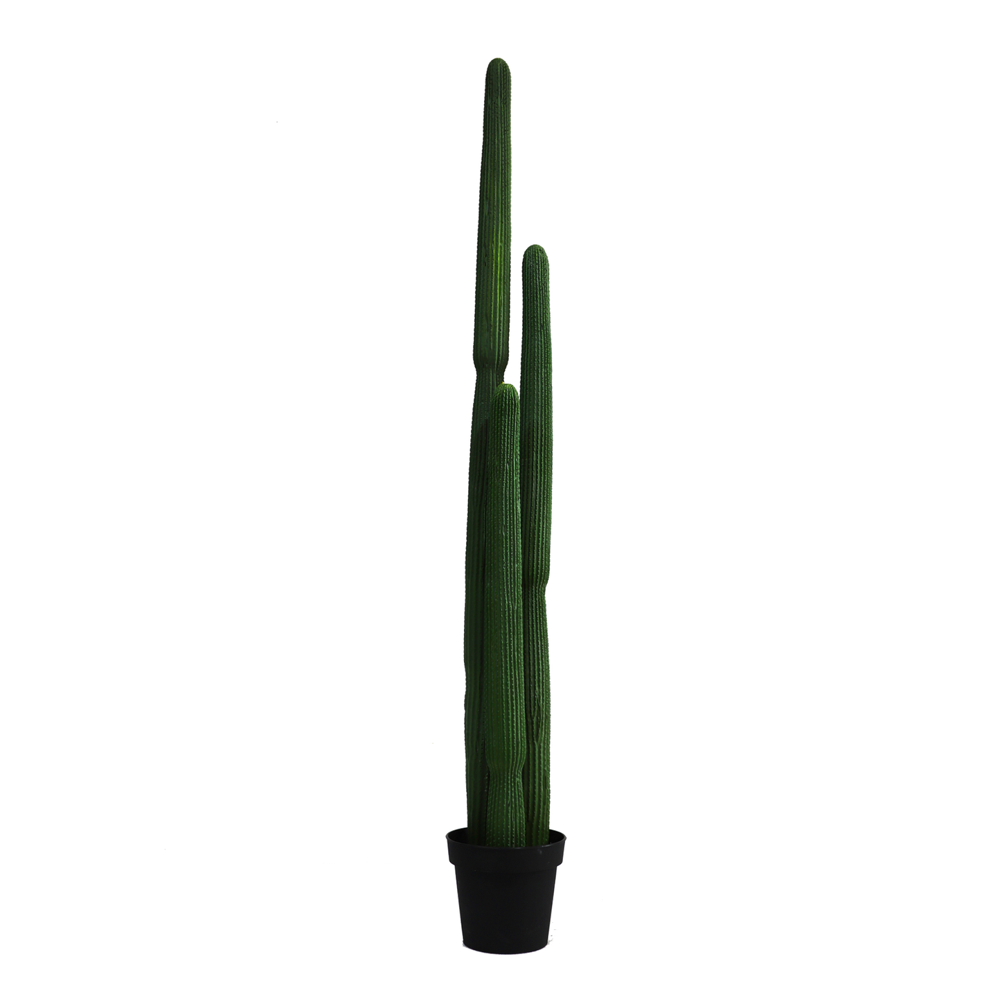 KD0063-Cactus with plastic pot -H160cm