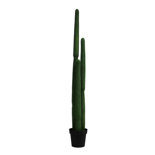 KD0063-Cactus with plastic pot -H160cm