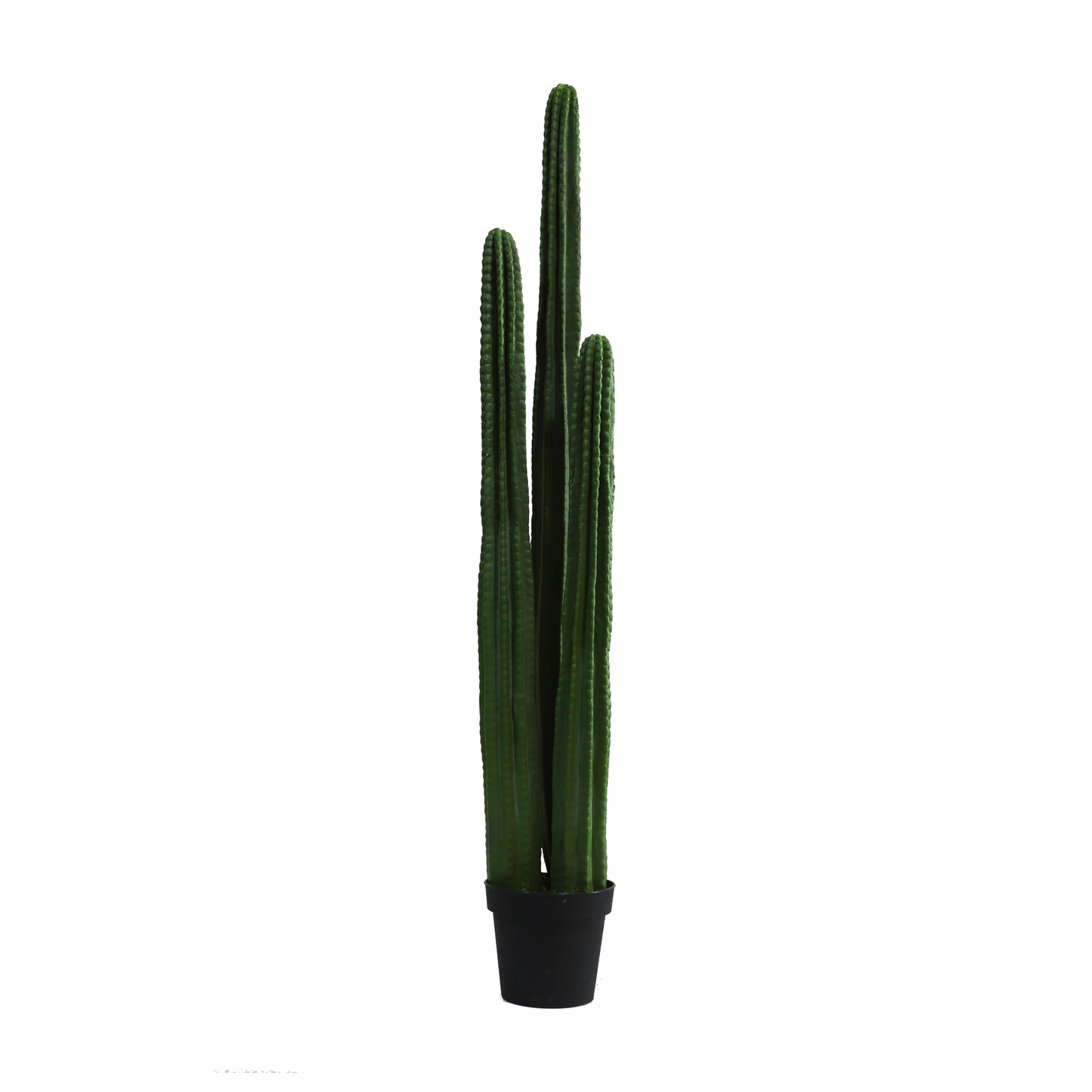 KD0064-Cactus with plastic pot -H149cm