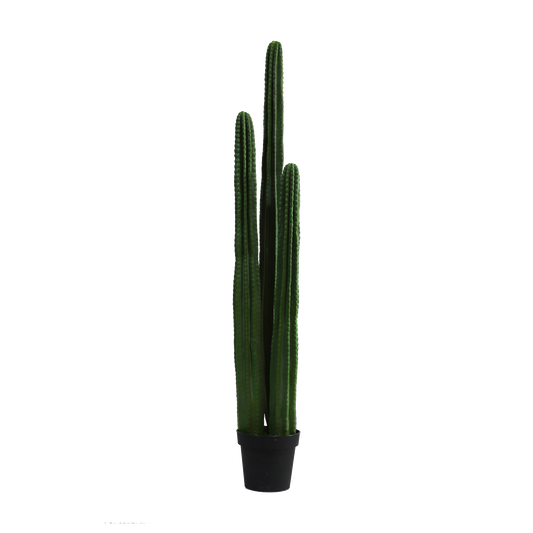 KD0064-Cactus with plastic pot -H149cm