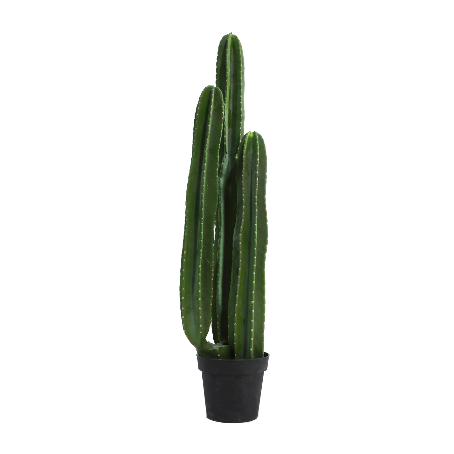 KD0066-Cactus with plastic pot -H100cm