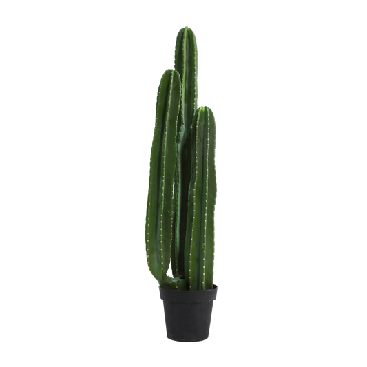 KD0066-Cactus with plastic pot -H100cm