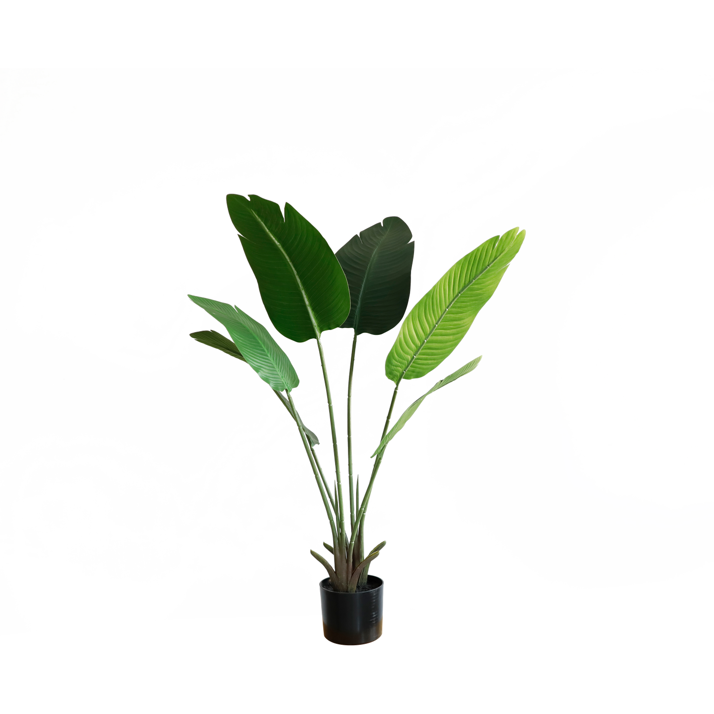 KD1409-Banana Tree-H90CM