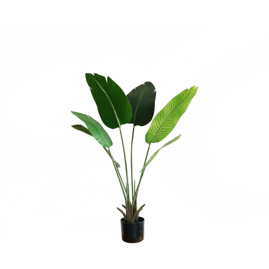 KD1409-Banana Tree-H90CM