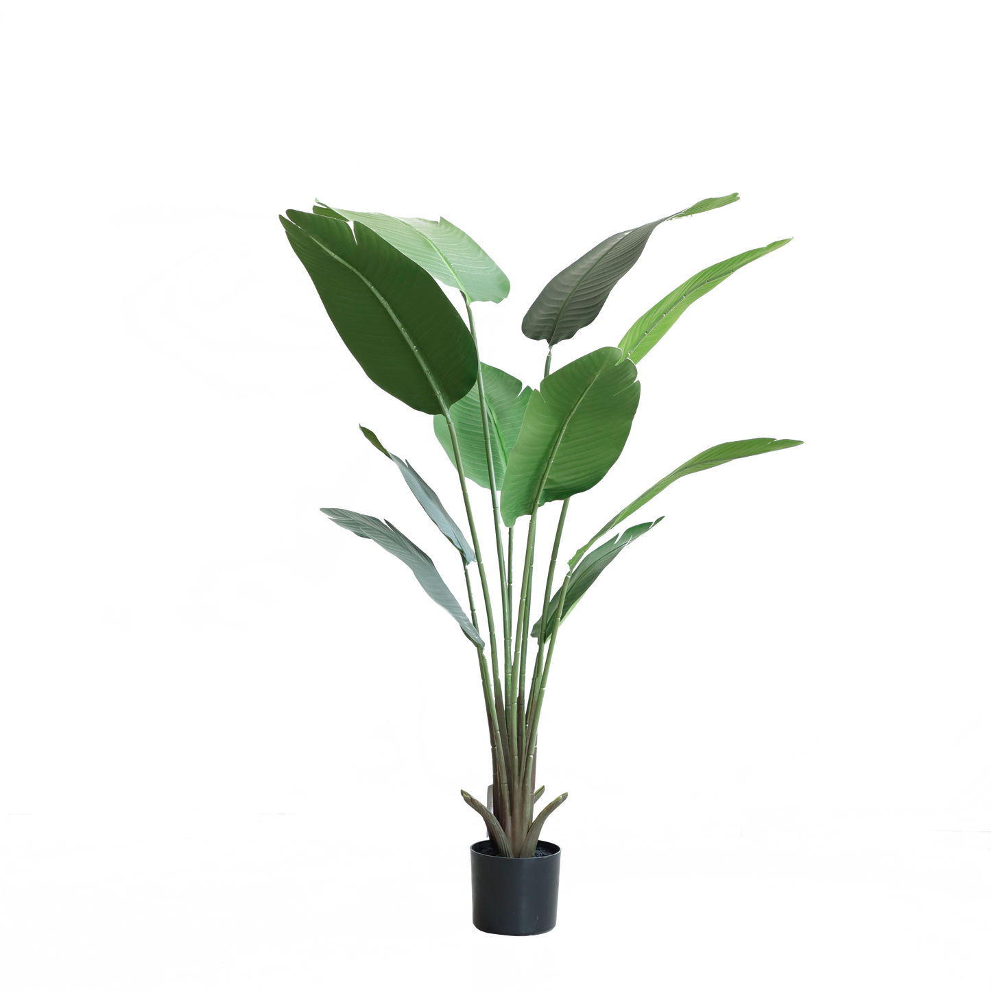 KD1411-Banana Tree-H160CM