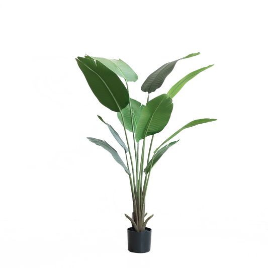 KD1411-Banana Tree-H160CM