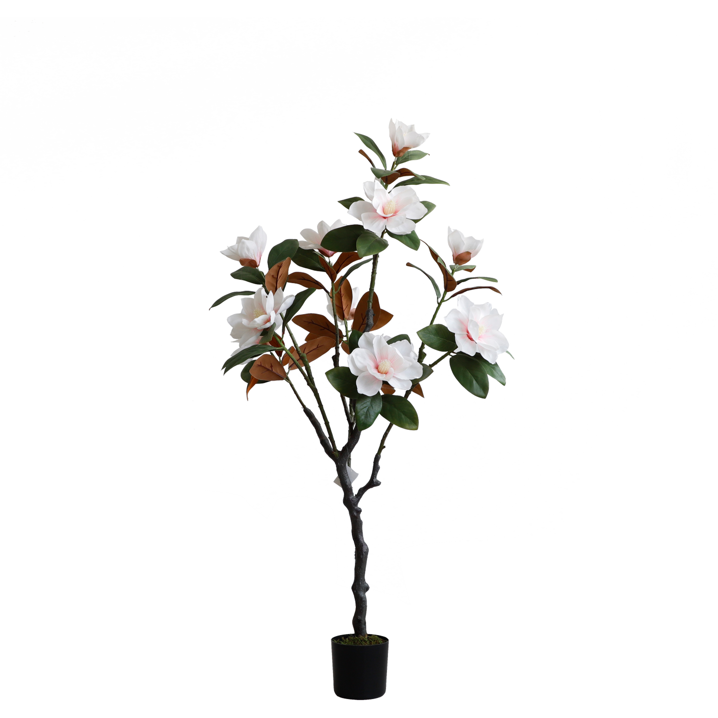 KD1418-Magnolia Tree-H120cm