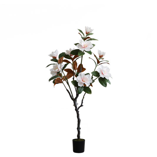 KD1418-Magnolia Tree-H120cm