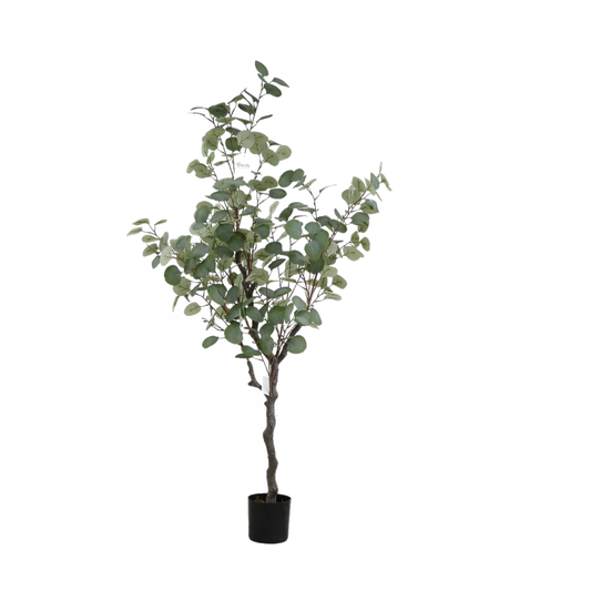 KD1419-Eucalyptus tree-H120cm