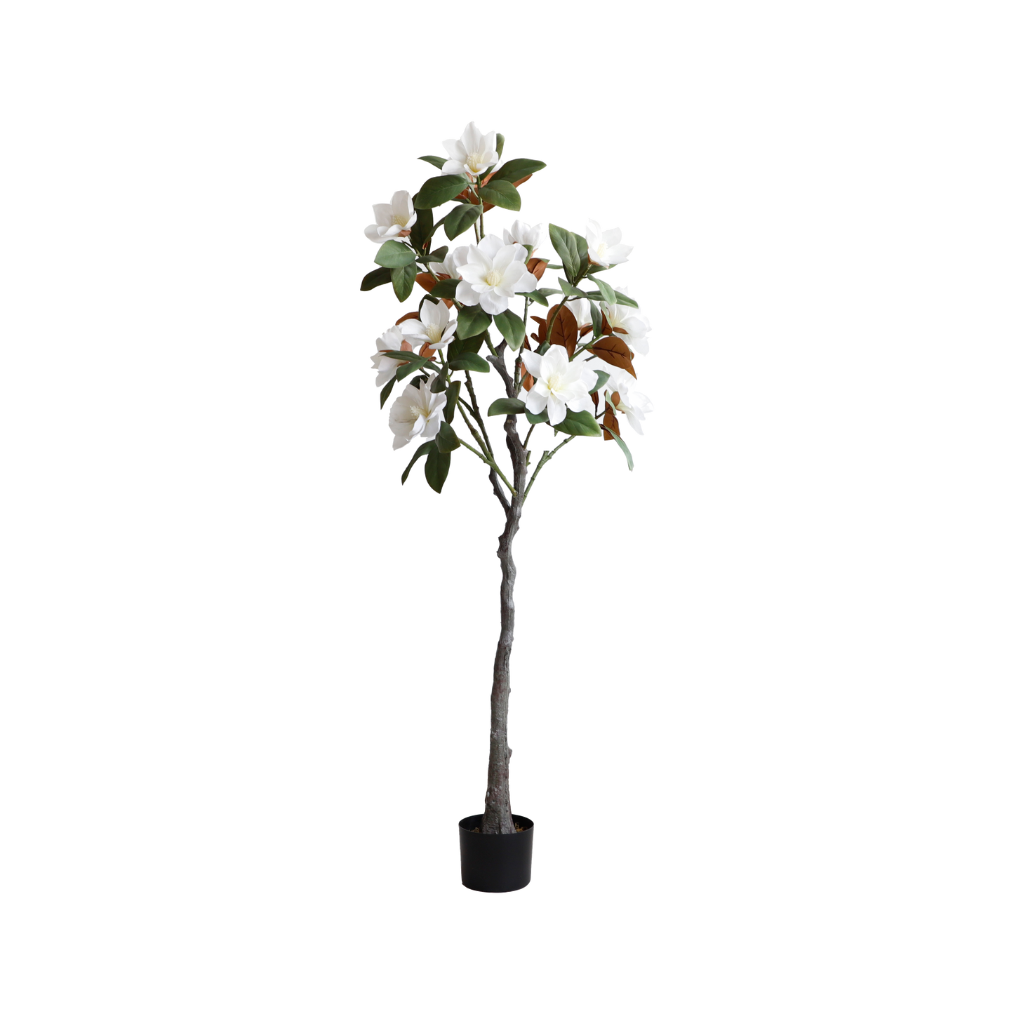 KD1421-Magnolia Tree-H150cm